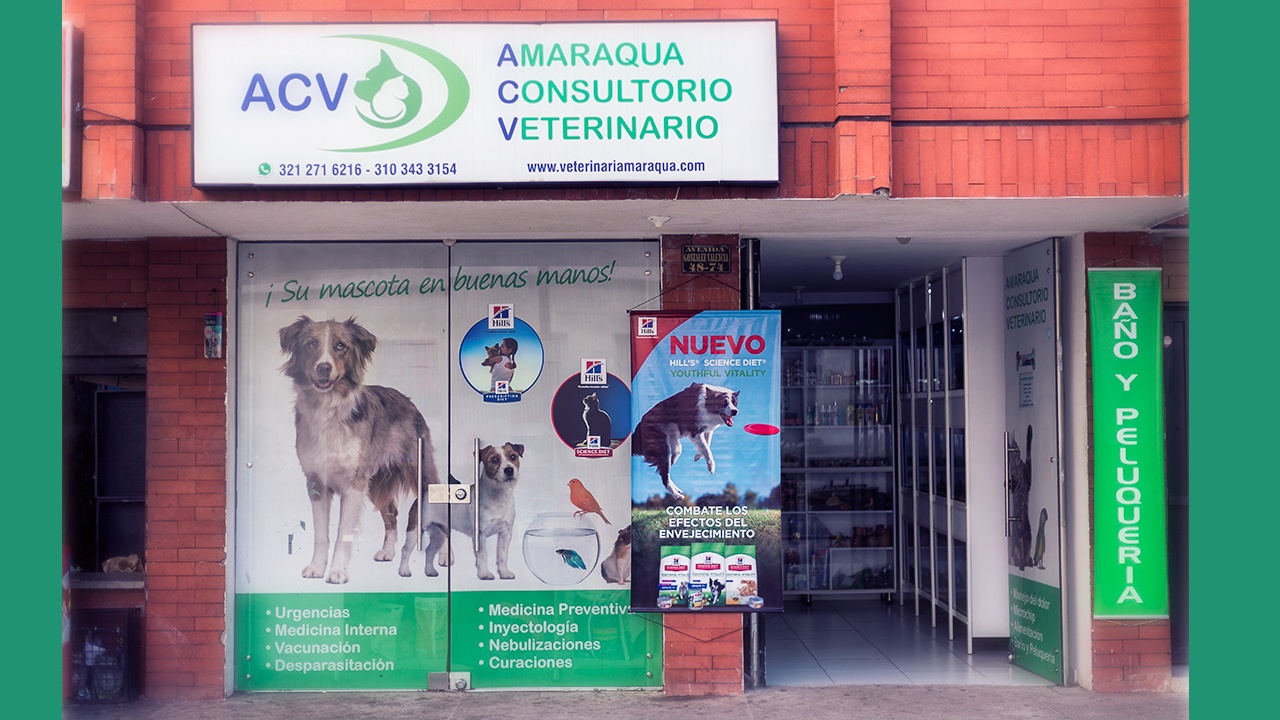 AMARAQUA - Consultorio Veterinario